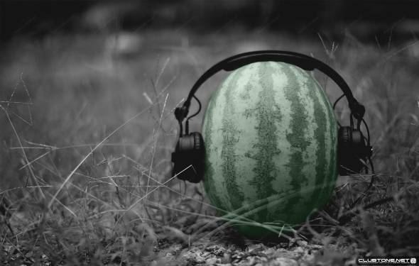 watermelon in ear-phones предпросмотр